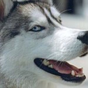 Meet your Posher, Eli